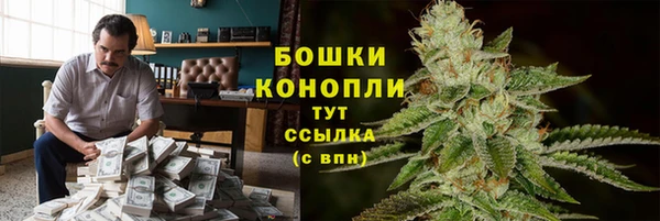 PSILOCYBIN Вяземский